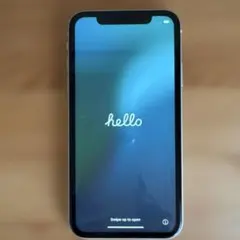 D*i様 iPhone11 本体