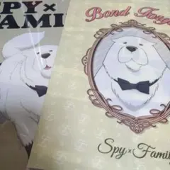 スパイファミリー クリアファイル セット