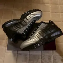 25.0cm】PALECE × NIKE AM95 - メルカリ