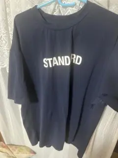 ノースフェイススタンダード限定Tシャツ