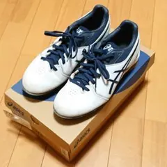 アシックス ベースボールシューズ ネオコネクト 24.5cm