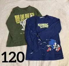 ZARA 長袖カットソー 120 2枚セット　ソニック