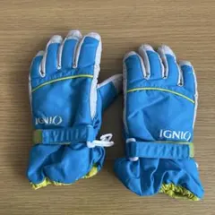 IGNIO スキーグローブ 青/緑