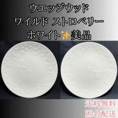  WILD STRAWBERRY 皿 2枚セット WEDGWOOD WILD STRAWBERRY 皿 2枚セット