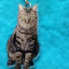 新品未使用のキジトラ猫 アクリルキーホルダーです