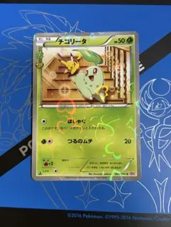 チコリータ C XY BREAK コンセプトパック ポケキュンコレクション キ