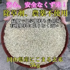 2026年最新】くず米の人気アイテム - メルカリ