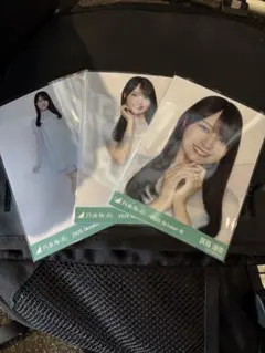 乃木坂46 生写真 妖精　コンプ　賀喜遥香