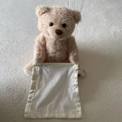 クマの動くぬいぐるみ 本体