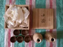 Item thumbnail for item 130d8d0e-0283-46e7-a7c6-4da4c0dbd2e4