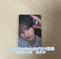 ZB1 MnetPlusMerch 犬耳トレカ　ユジン