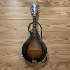 2026年最新】フラットマンドリンの人気アイテム - メルカリ