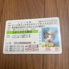 2025年最新】なめ猫免許証の人気アイテム - メルカリ