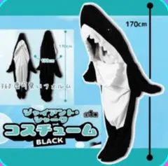 Item thumbnail for item 9a695f44-763a-4f2f-a162-41076823f8e4