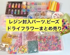 封入パーツ ビーズ ドライフラワー シェル パウダー レジン