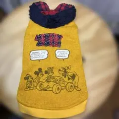 Item thumbnail for item 2ce64288-fa70-4165-a6a5-2e9a1b3d1854