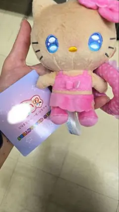 ゆるかわ サンリオキャラクターズ あいぬい ミニぬいぐるみ ハローキティ レア