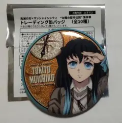 サンシャイン 展望パーク トレーディング 缶バッジ 鬼滅の刃 時透無一郎