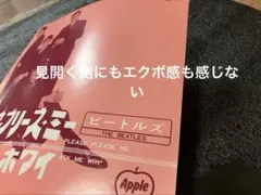 裏にリングウエア無く発色良い 綺麗なジャケ プリーズプリーズミー