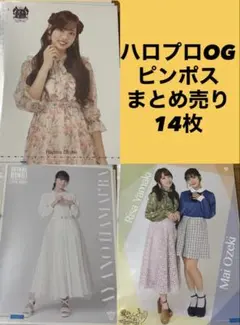 【値下げ】非売品 松浦亜弥 桃色片想い モモゾーピーコぬいぐるみグッズ ハロプロ 値下げ】非売品 松浦亜弥 桃色片想い モモゾーピーコぬいぐるみグッズ