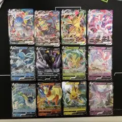 ブイズ サプライ 2点セット ブイズ サプライ 2点セット
