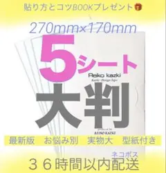 新品 大判5枚 かづきデザインテープ 270×170 かづきれいこデザイン