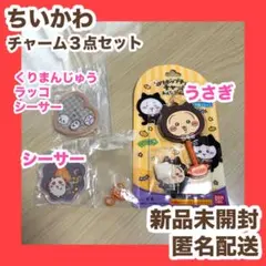ちいかわ シャカシャカチャーム　シーサー　ロリポップチョコチャーム　黒猫　うさぎ