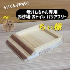 ちぃ様専用オーダーページ お砂場各種