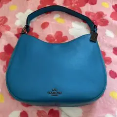 Item thumbnail for item 102eb6e8-af06-42e1-b9f6-2873c908d509