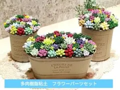 樹脂粘土 多肉植物 フラワーパーツセット
