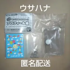 サンリオキャラクターズ　プロフィール帳　ウサハナ　豆ガシャ本　キーホルダー　匿名