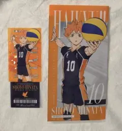 ハイキュー!! -最強の挑戦者- I賞 日向翔陽