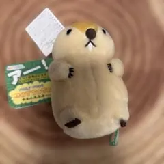 マーモット　マーモットのもっとっと　マスコット　ぬいぐるみ　もっとっと