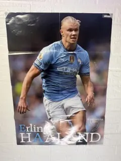 2026年最新】ハーラン カードの人気アイテム - メルカリ