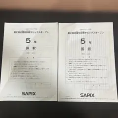 2026年最新】サピックスオープン 5年の人気アイテム - メルカリ