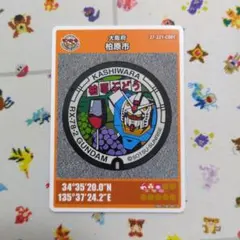 Item thumbnail for item 081e1ee6-8346-4a90-a386-83ee09fde603