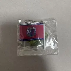 Jリーグ フラッグキーチェーンコレクション セレッソ大阪
