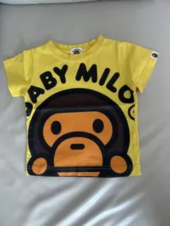 Item thumbnail for item feb2df9b-3001-40e0-ad8a-5ad10d775ff4