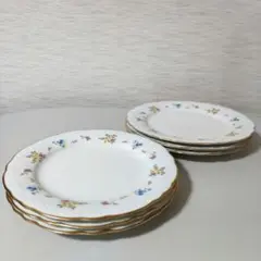 ノリタケ　 サイズ違い6枚セット