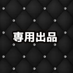 専用出品