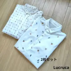 お値下げ☆ルクルカシャツ/2枚セット