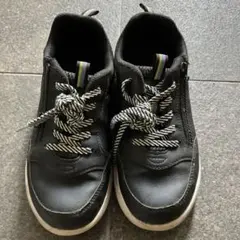 Item thumbnail for item efb14b71-fd07-463e-b202-91d8ef00ccf0