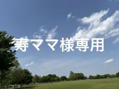 オバケーヌ他前シール７点