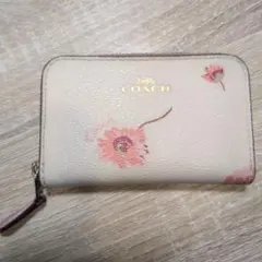 Item thumbnail for item 1a7e517c-2ae4-4727-a873-aaa580647e64