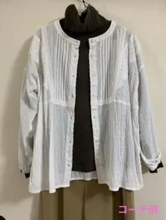 サマンサモスモス　ブラウス　オフホワイト　美品❣️
