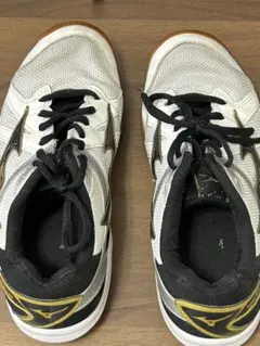 Mizunoバレーボールシューズ 23.0cm