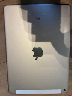 iPad Air 2 (128GB / Wi-Fi + Cellular モデル