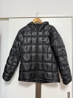 2026年最新】プラズマ1000 アルパインダウンパーカの人気アイテム