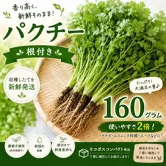 パクチー 香菜 コリアンダー 400g - メルカリ