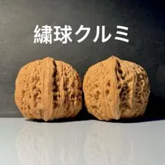 2026年最新】#文玩核桃 の人気アイテム - メルカリ